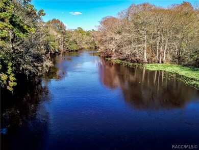 Withlacoochee River view looking West