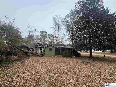 153 E Pine St, Johnsonville, SC 29555 - photo 7