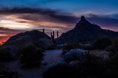 _MG_3363