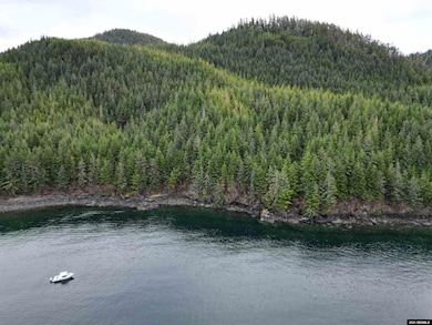 No Adress Legal Address Only unit Lot 4 Nakwasina Soun, Sitka, AK 99835 - photo 7