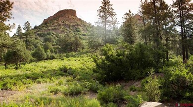 0 Bell Flower Ct unit 751872, Durango, CO 81301 - photo 5