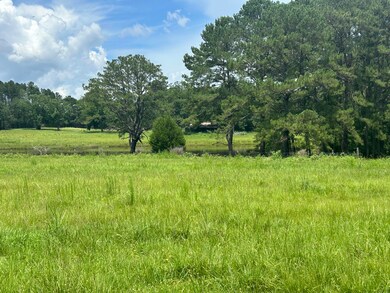 Pasture