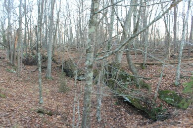 178 Trentwood Dr, Crossville, TN 38558 - photo 3