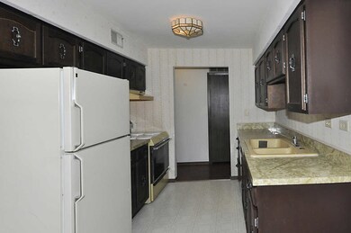 1525 E Thacker St unit 3B, Des Plaines, IL 60016 - photo 5