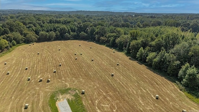 Tract 3 Greene 726 Rd, Paragould, AR 72450 - photo 2