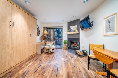 50827 Highway 550 unit 308, Durango, CO 81301 - photo 4