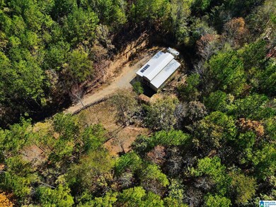 001 County Road 997 unit a, Clanton, AL 35046 - photo 4