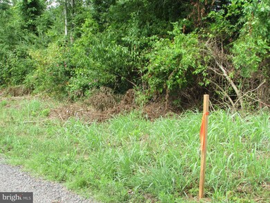 0 Payton Ln, Stevensburg, VA 22726 - photo 4