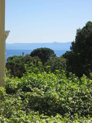 Peek-a-boo ocean view!