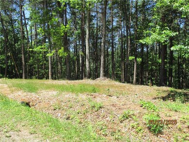 View of woods