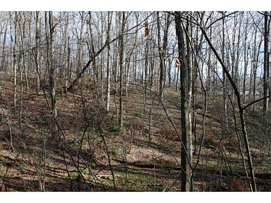 Exterior Front. Hillside view. Mature timber.