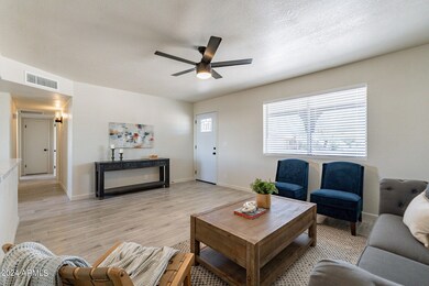 8-web-or-mls-Pinyon-8
