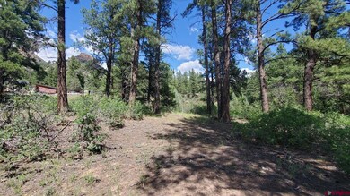 82 Wild Iris Ave, Durango, CO 81301 - photo 4