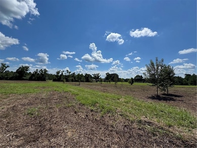 5.5 Acres Eaglesnest Ln, Franklinton, LA 70438 - photo 3
