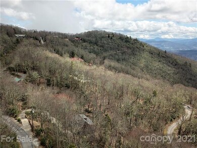 Drone photo of potential view looking left in front of tree line