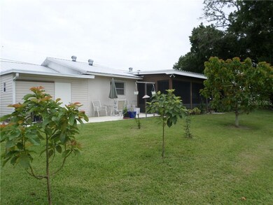 METAL ROOF AVOCADO TREES BACKYARD