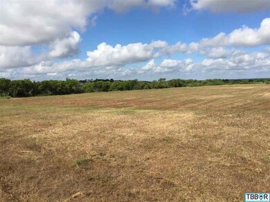 Hwy 317 Bell County Rural, Moody, TX 76557 - photo 4