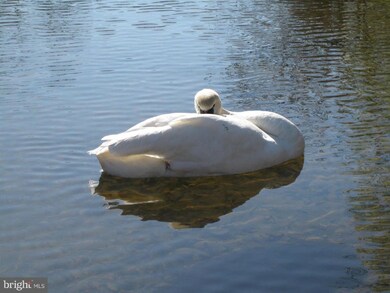 115 Sand Trap Ln, Locust Grove, VA 22508 - photo 6