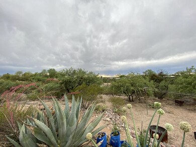 backyard view