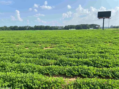 04 Alabama 21, Atmore, AL 36502 - photo 5