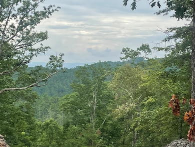 View headed down Foxhound