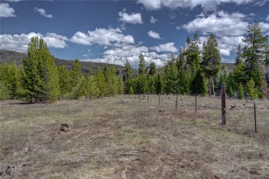 View of local wilderness featuring a forest view
