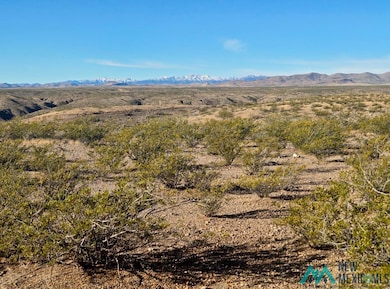 888 Las Palomas Canyon Rd Roads, Las Palomas, NM 87942 - photo 5