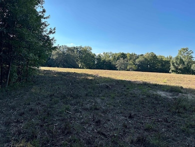 TBD County Road 3701, Murchison, TX 75778 - photo 4