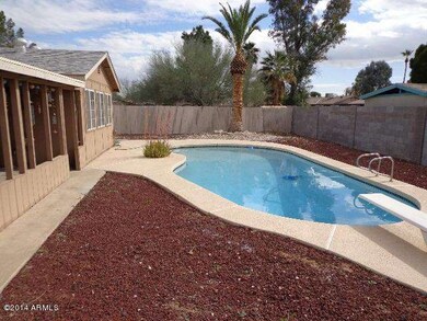 Bailey Backyard (1)
