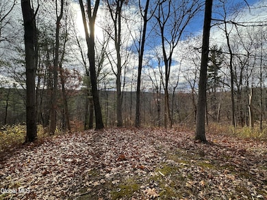 L11.9 Clarks Mills Rd, Greenwich, NY 12834 - photo 5