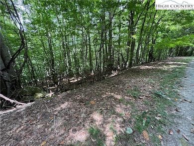 113 Arrowhead Rd, Beech Mountain, NC 28604 - photo 2