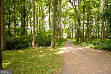 5713 White Rock Rd, Sykesville, MD 21784 - photo 6