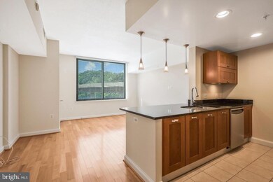 Midtown Alexandria Station Condominiums unit 617, Alexandria, VA 22303 - photo 2