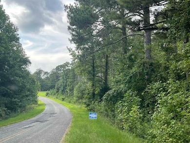 447 Mullinax Cir, Blacksburg, SC 29702 - photo 4