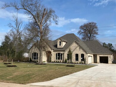 31118 Roanoke, Tomball, TX 77375 - photo 3