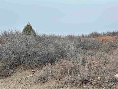 248 Jennifer's Place, Pagosa Springs, CO 81147 - photo 3