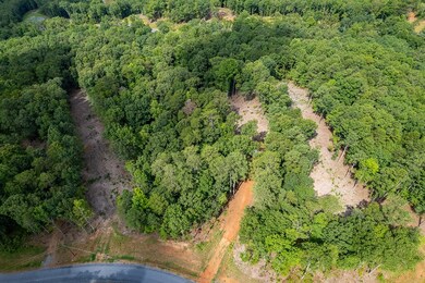 Lot 315 Pebble Trace, Talking Rock, GA 30175 - photo 6