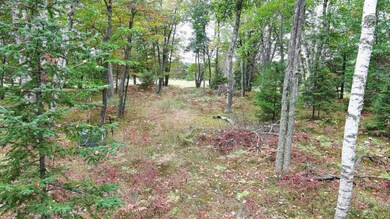 Lot A on Del Stengl Lake Rd, Stella, WI 54501 - photo 4