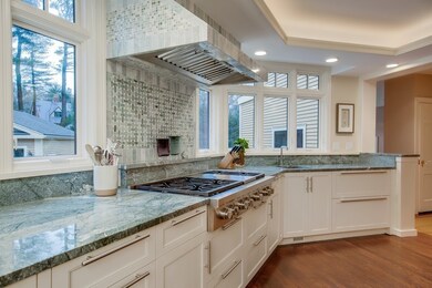 17 Glenoe Rd, Chestnut Hill, MA 02467 - photo 4