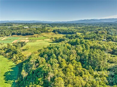 17 Riddle Ln, Asheville, NC 28806 - photo 4