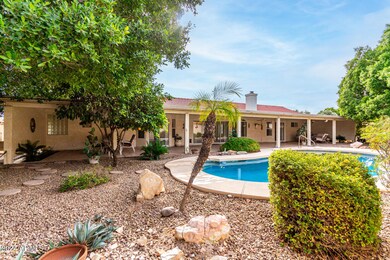 Beautiful backyard