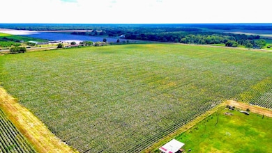 0000 N Baker Rd, Guy, TX 77444 - photo 5