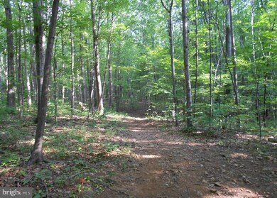0 Bull Yearling Rd unit 1002802042, Stanardsville, VA 22973 - photo 2