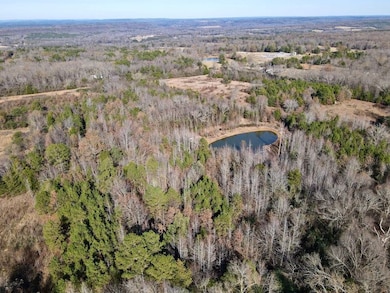 000 Mount Pisgah Rd unit LotWP001, Springfield, AR 72157 - photo 4