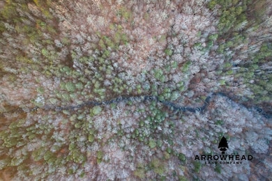 0 Hwy 90 unit 19468896, Duff, TN 37729 - photo 7