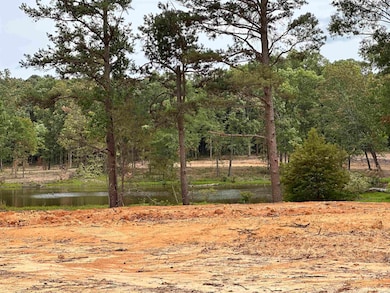 3084 E Main St, Cabot, AR 72023 - photo 6