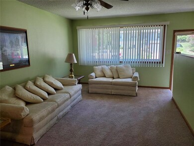 LIVING ROOM - newer carpet- Lg Picture window