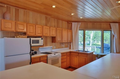 1 St Marys Island, Alexandria, NY 13607 - photo 5