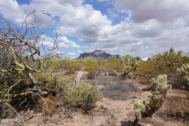 Superstition Mtn View