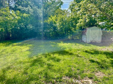 back yard